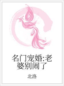 名门宠婚:老婆别闹了