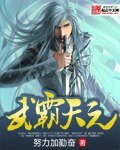 《武霸天元》