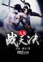 《九龍戰天決》