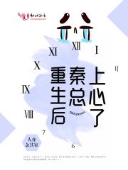 《重生后秦总上心了》