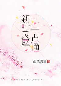 新叶灵犀一点通