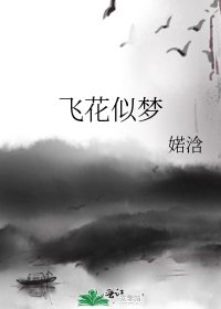《飛花似夢》