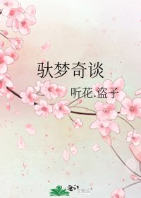 《驮梦奇谈》