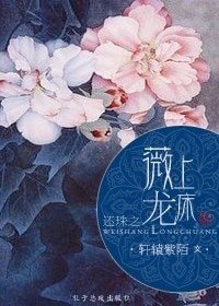 (BG/还珠同人)还珠之薇上龙床