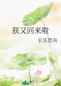 《朕又回来啦》