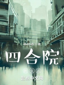 《四合院的生活》