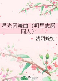 《星光圆舞曲(明星志愿同人)》