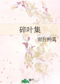 《碎叶集》
