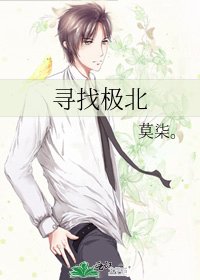 《寻找极北》
