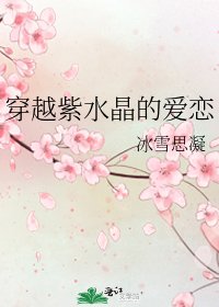 《穿越紫水晶的爱恋》