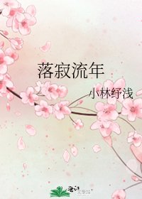 《落寂流年》