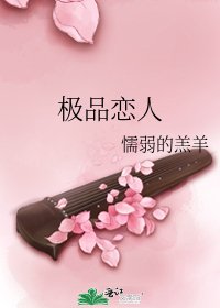 《极品恋人》