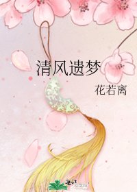 清风遗梦