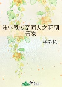 《陸小鳳傳奇同人之花副管家》