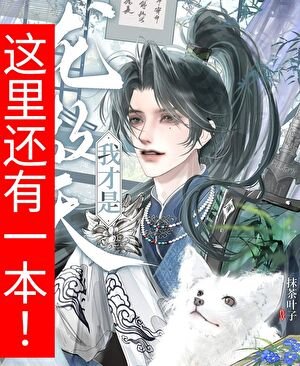 我才是龍傲天