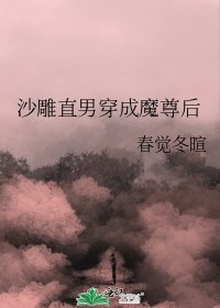 《沙雕直男穿成魔尊后》